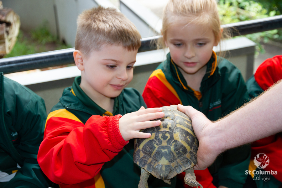 Reception - Gorge Wildlife Park-38