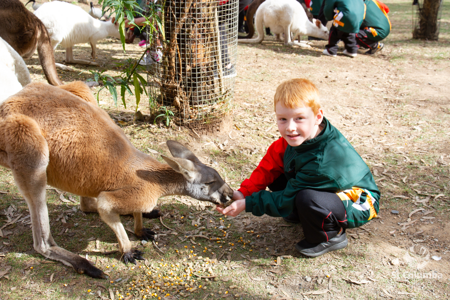 Reception - Gorge Wildlife Park-54
