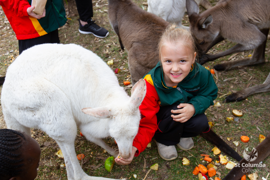 Reception - Gorge Wildlife Park-61