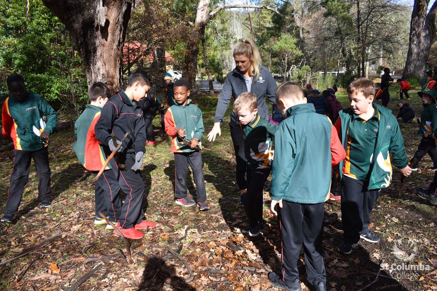 Year 3 Belair Excursion-5