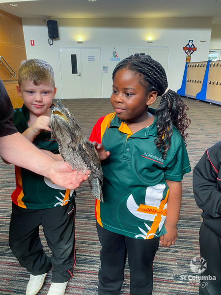 Reception - Animal Capers-1