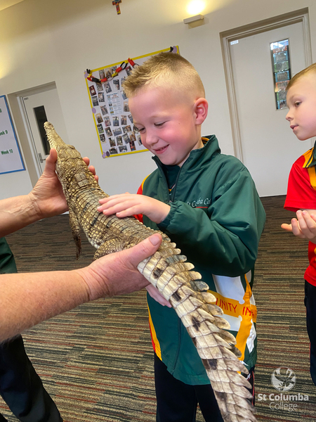 Reception - Animal Capers-4