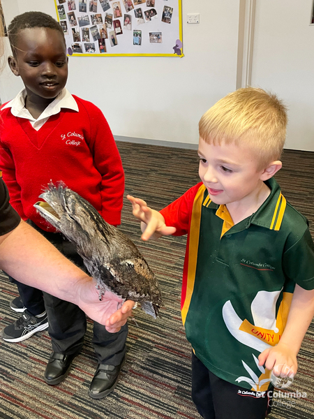 Reception - Animal Capers-7