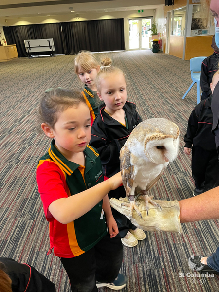 Reception - Animal Capers-8
