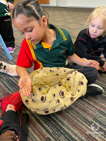Reception - Animal Capers-9