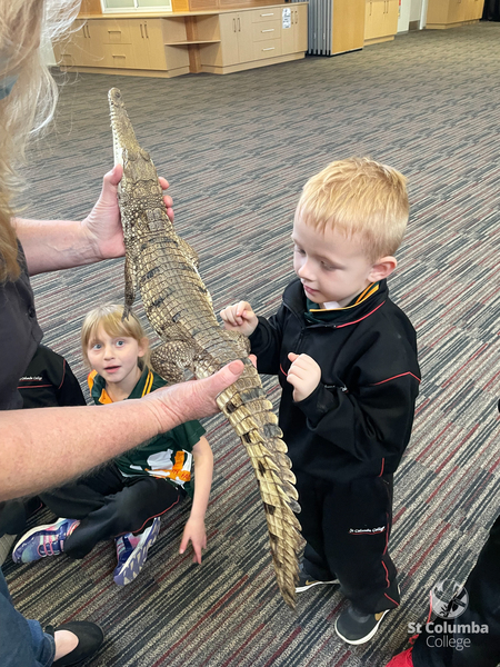Reception - Animal Capers-11