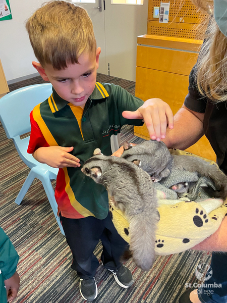 Reception - Animal Capers-12