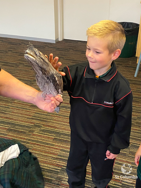 Reception - Animal Capers-16