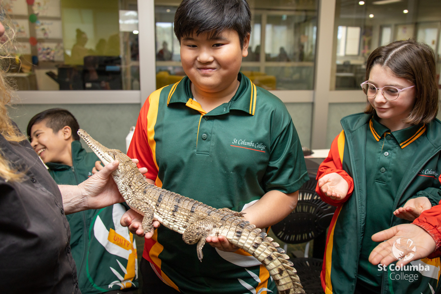 Year6_AnimalCapers_WM_002