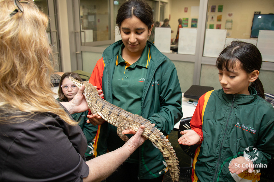 Year6_AnimalCapers_WM_004