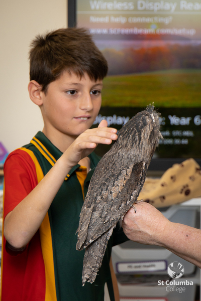 Year6_AnimalCapers_WM_012