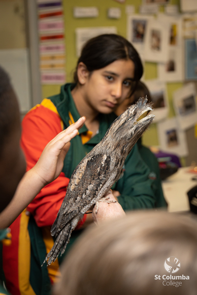 Year6_AnimalCapers_WM_013