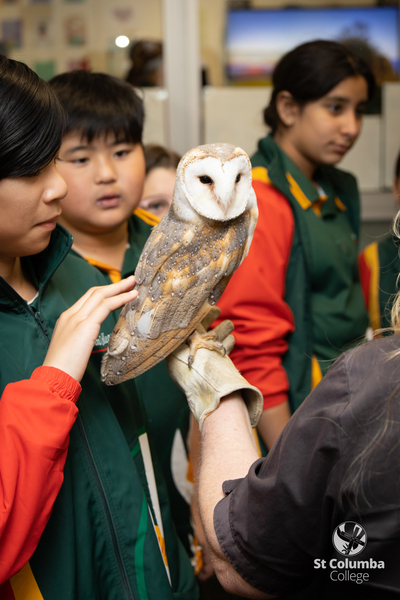 Year6_AnimalCapers_WM_017