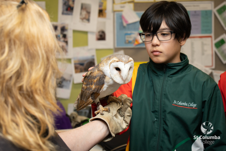 Year6_AnimalCapers_WM_019