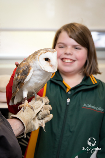 Year6_AnimalCapers_WM_020