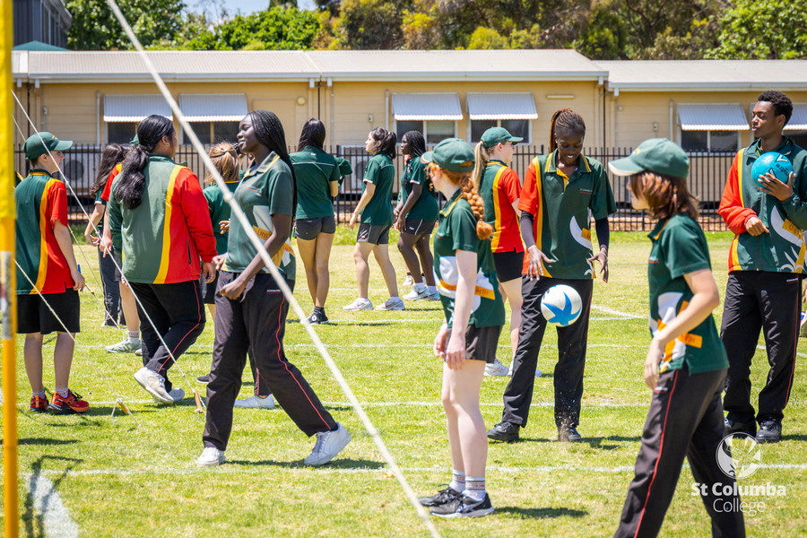 Knights_Southern_Cross_WM_011