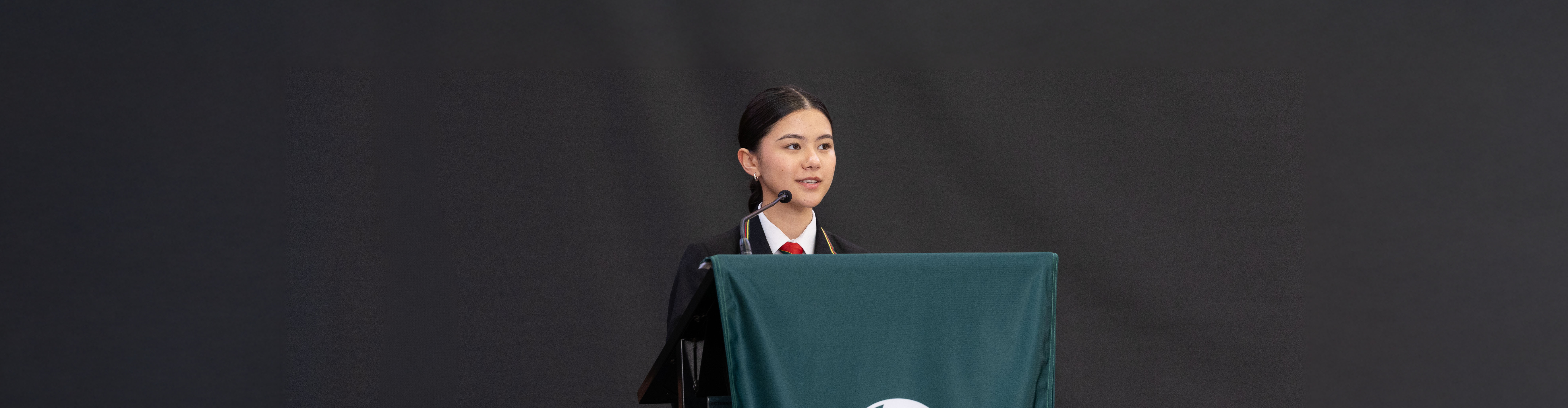 Striving for Excellence - 2024 SACE Results