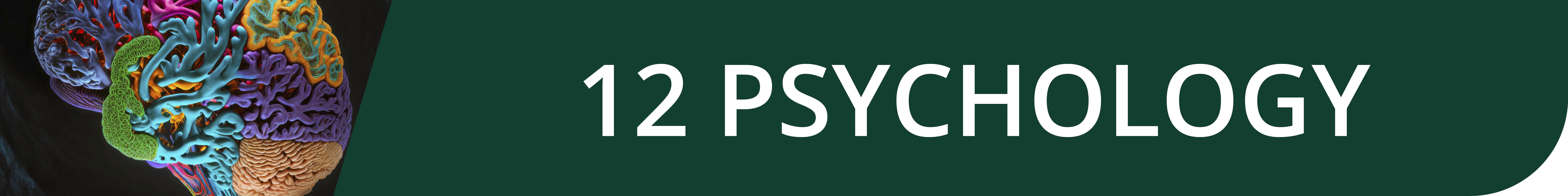 12 Psychology.jpg